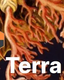 Cartell promocional amb el nom de la jornada