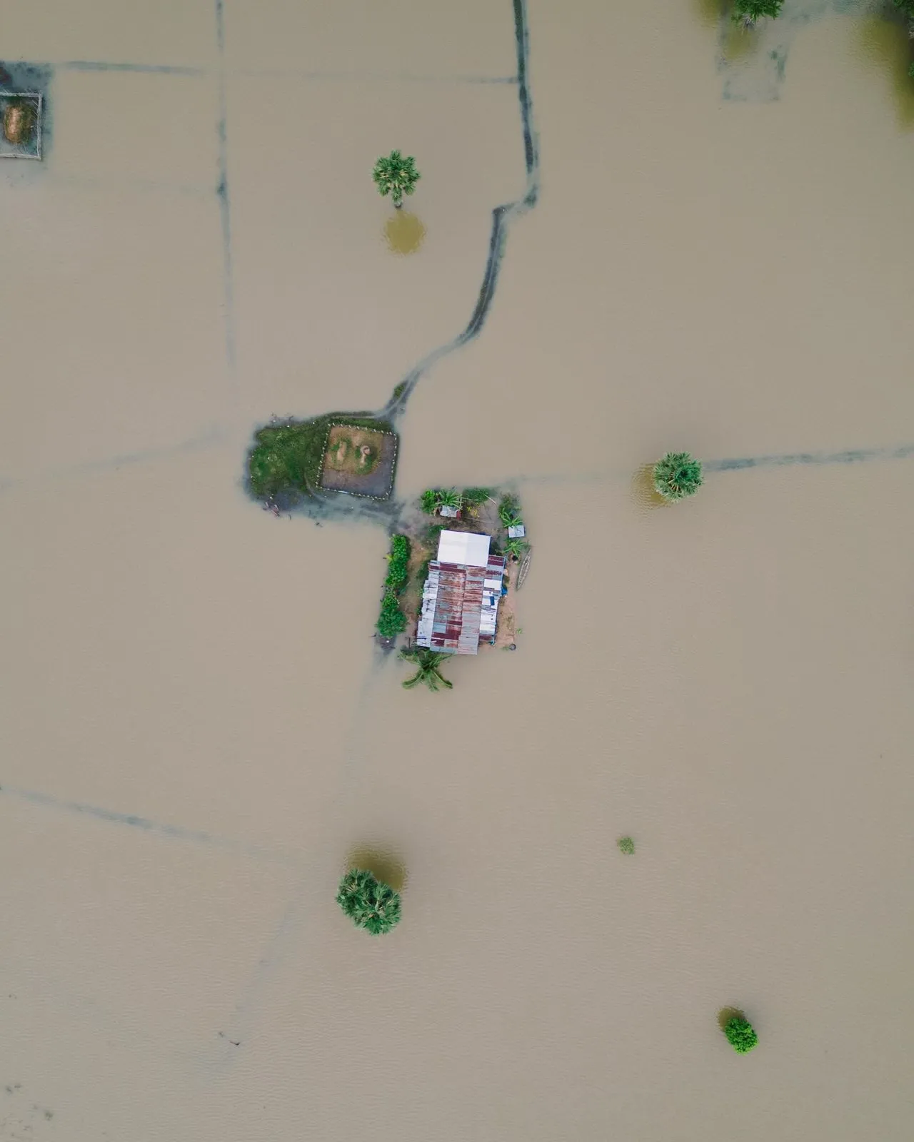 Vista aèria de camps de conreu inundats