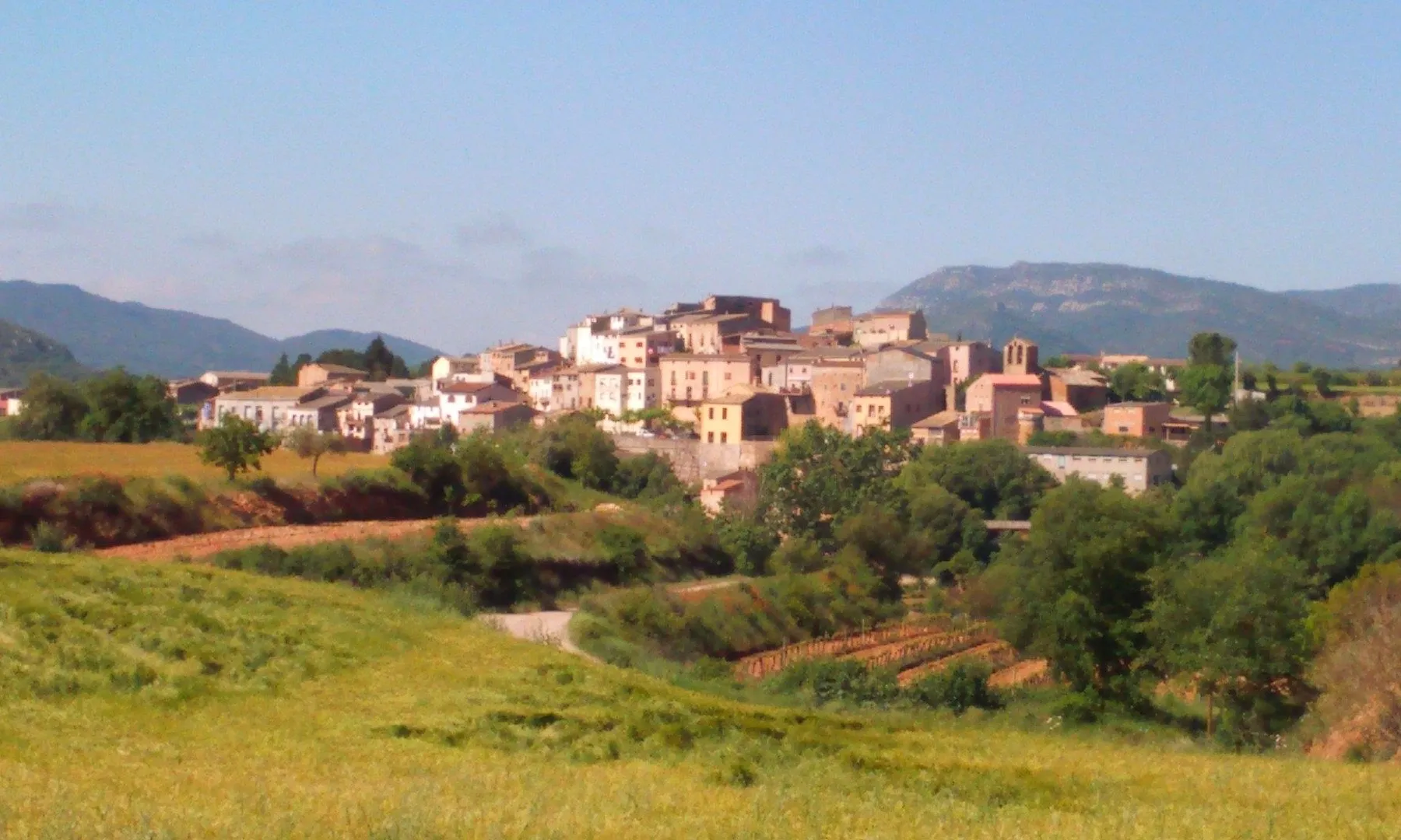 Amics de Baldomar fa activitats per tal de poder dinamitzar el micropoble.