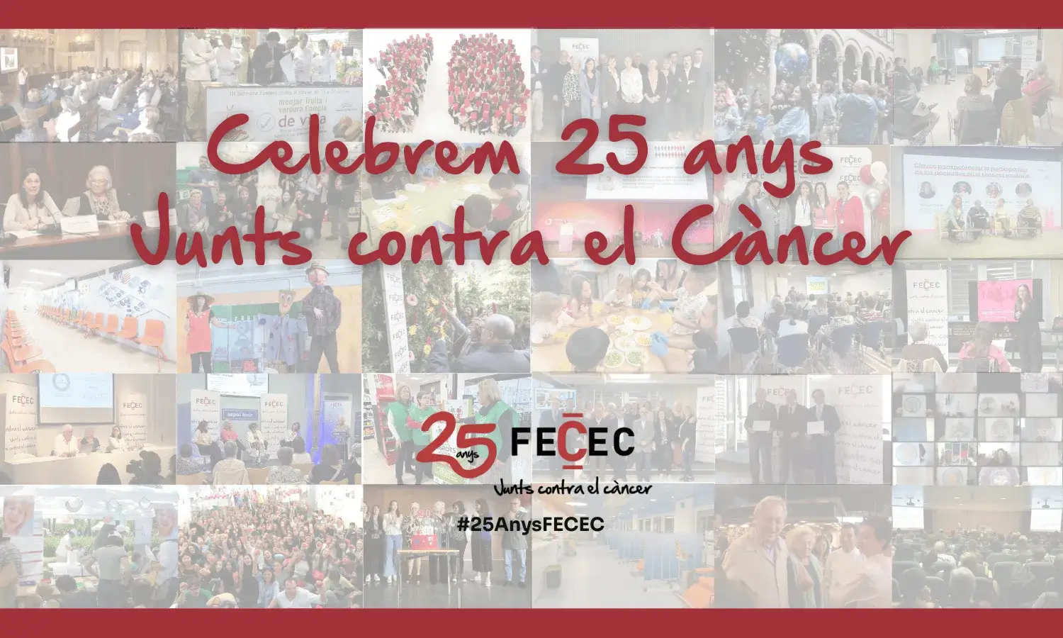 25 Anys FECEC
