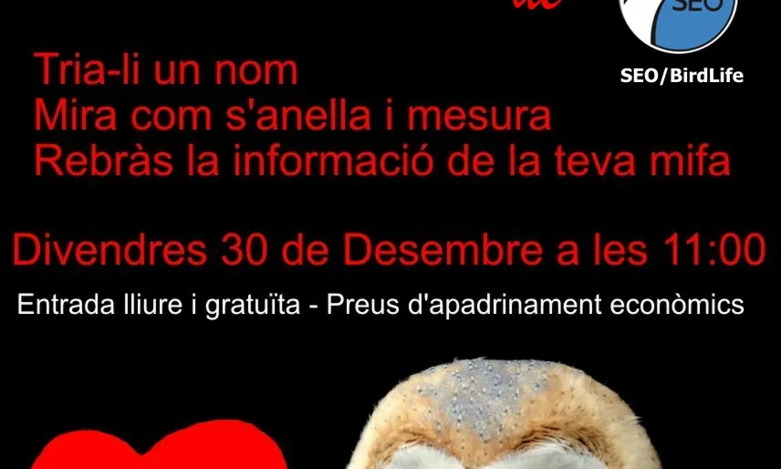 Cartell de la jornada d'apadrinament (30 de desembre)
