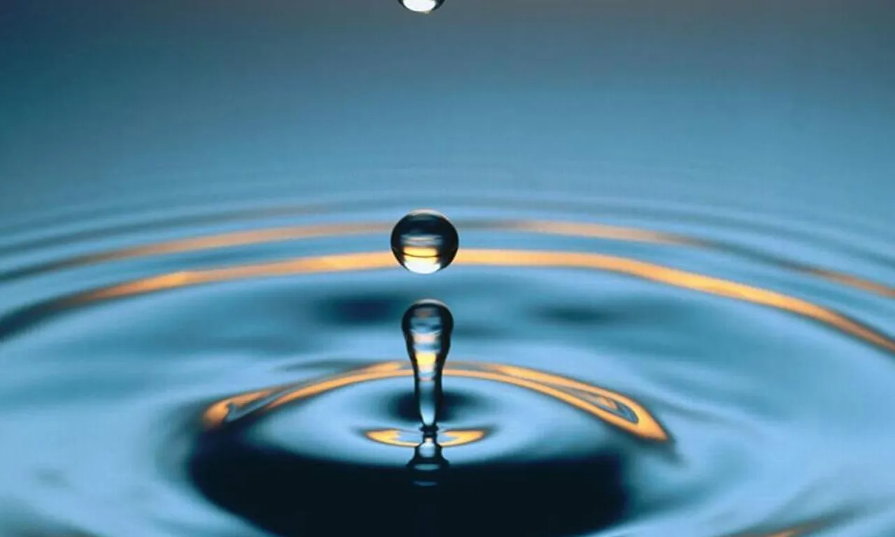 La seguretat alimentària és el tema escollit aquest any