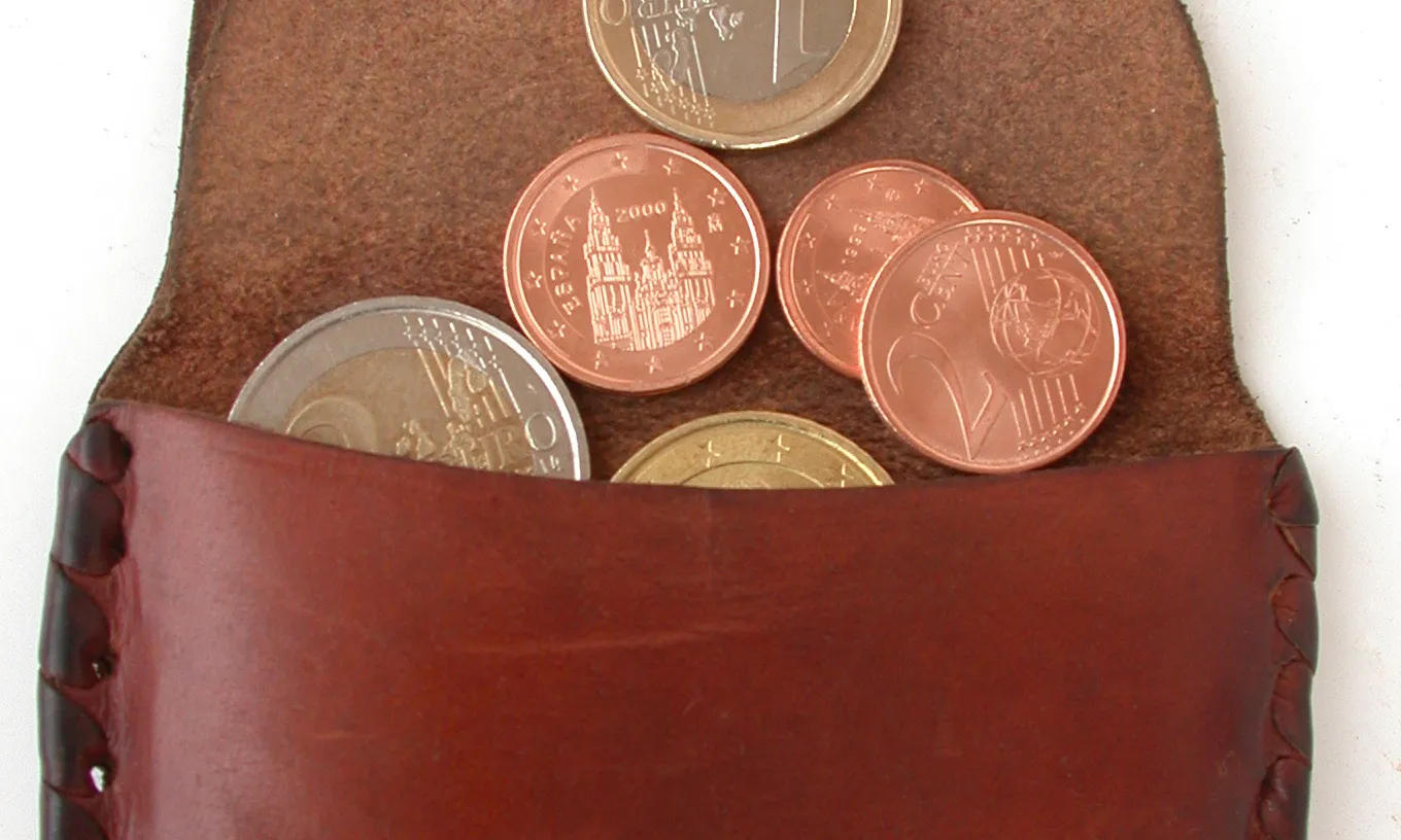 moneder amb euros