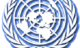 Logo Nacions Unides