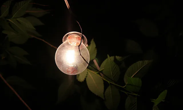 (foto: flickr, Celia MacAas)