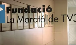 Font: Fundació La Marató e TV3