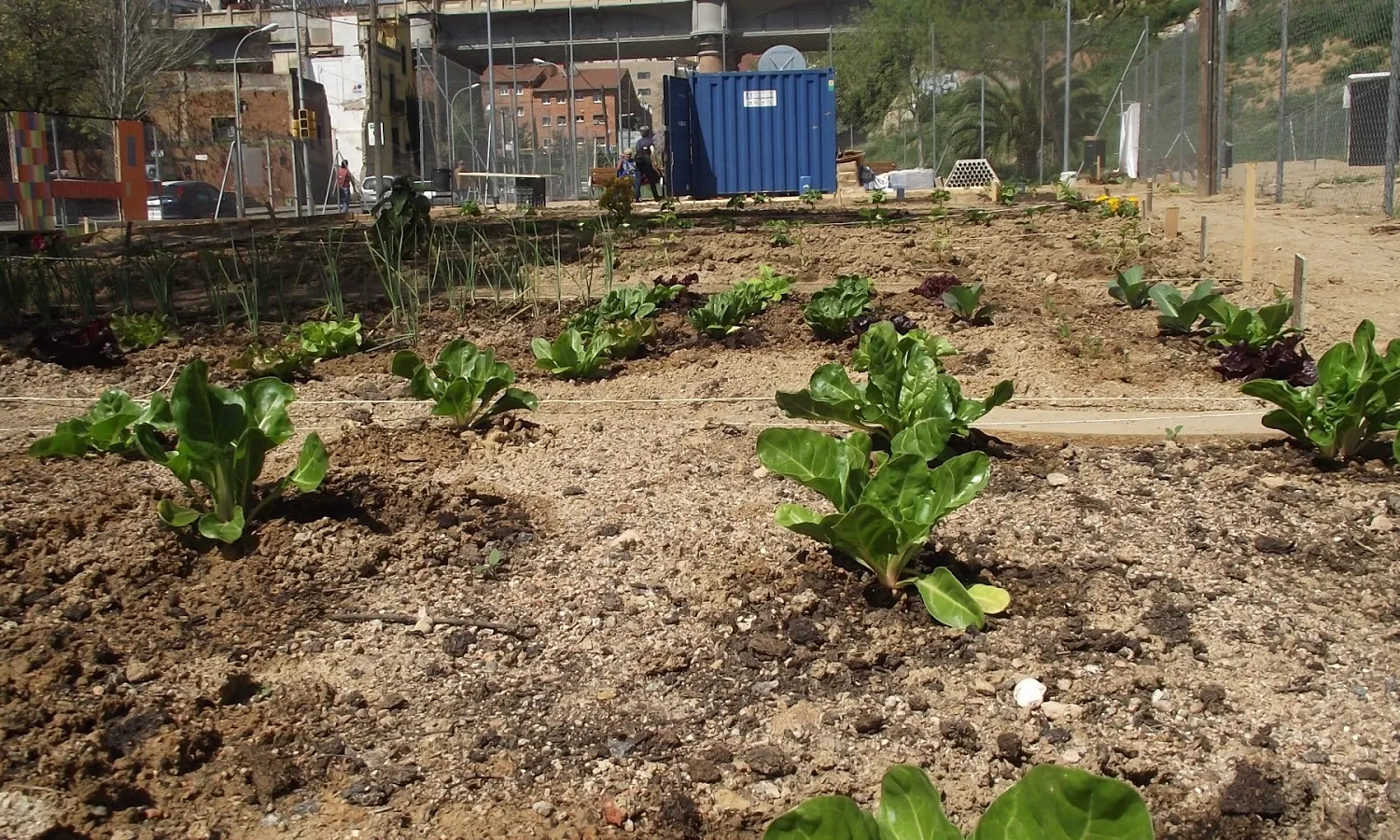 Imatge de l'Hort Urbà del Centre Heura