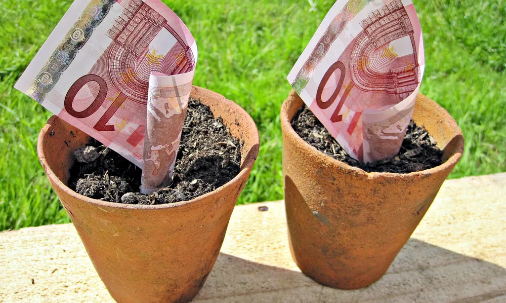 Bitllets "plantats". Font: images_of_money (flickr.com)