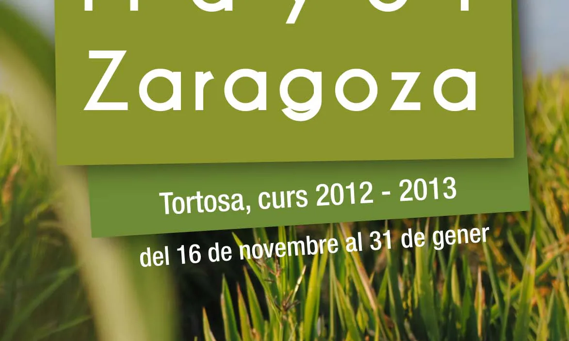 El projecte ‘Mirades’  guanya el premi Federico Mayor Zaragoza