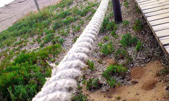 Camí amb passarel·la de fusta i zona natural protegida