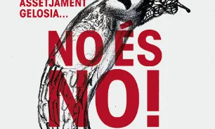 Campanya "No és No" de l'Observatori per a la igualtat (Font: Observatori)