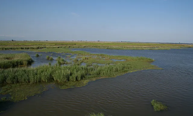 Delta de l'Ebre (imatge: flickr, Néstor)