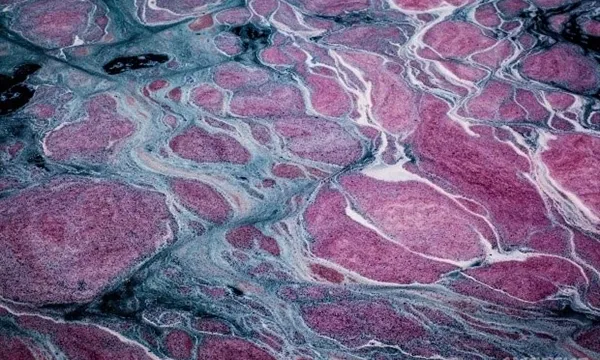 Substàncies químiques vessades a les l'oest de Java, Indonèsia (Font:Greenpeace)