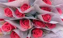 Roses sostenibles. Font: www.ajsosteniblebcn.cat
