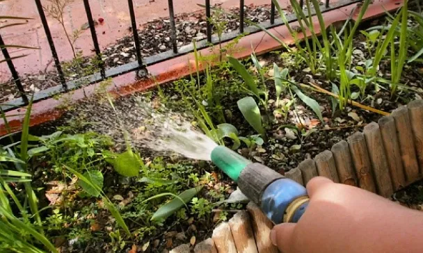Imatges recollides per l'Escola Emili Carles Tolrà de Castellar del Vallès