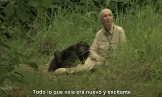 Jane Goodall