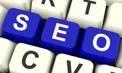 Entendre com treballen els cercadors és fonamental. Imatge: seoplanter