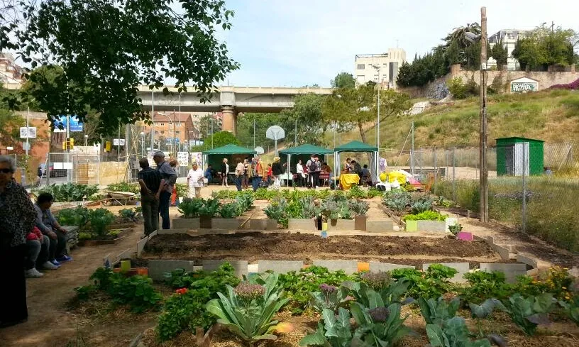 L'Hort de les Cases, situat a Vallcarca