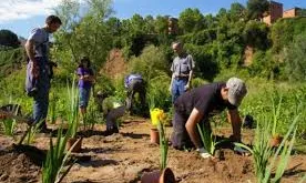 Actuació de voluntariat ambiental al riu Ripoll (imatge: ADENC))