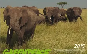 Ajuda a finançar els projectes de Greenpeace.