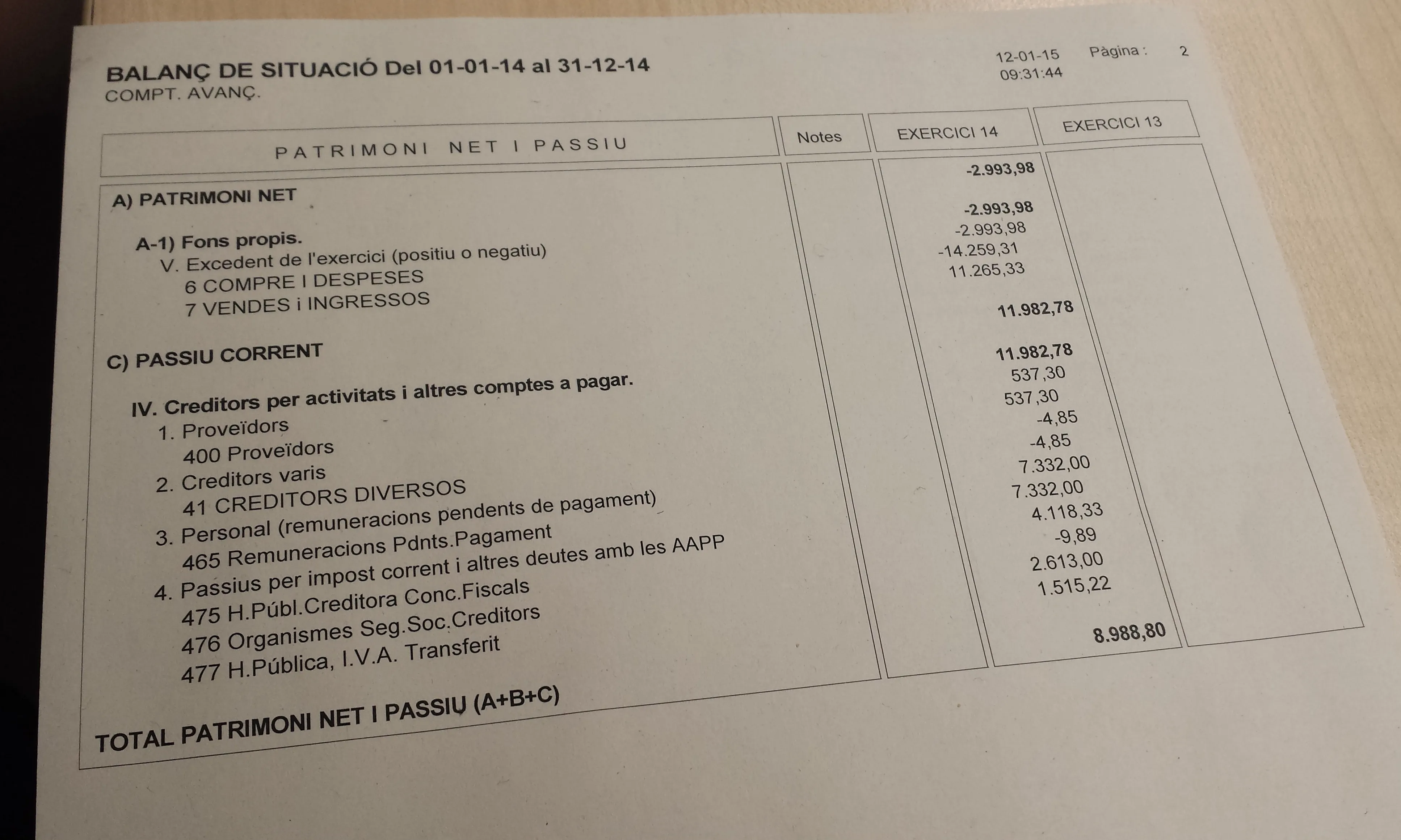 Imatge model Balanç de Situació