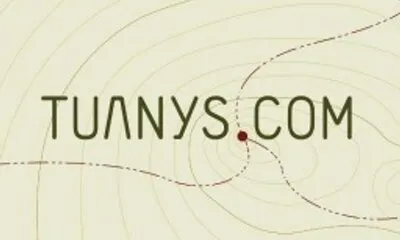 Tuanys.com 