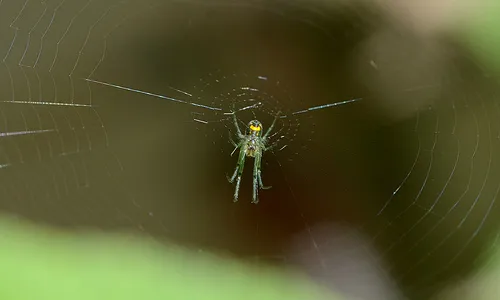 Recomanacions per millorar el posicionament web