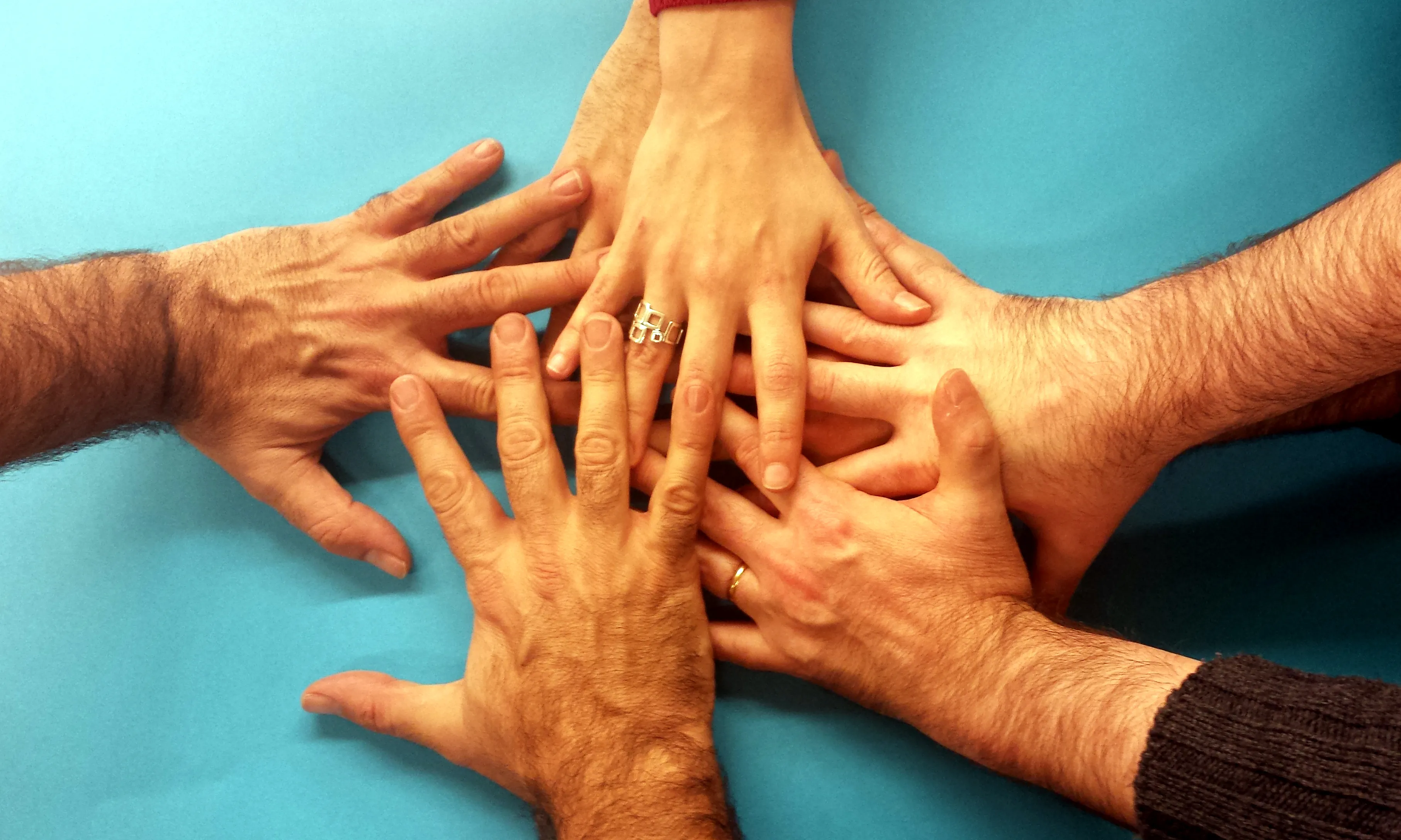 El PNAV 2014-2015 busca ser participatiu i viu.