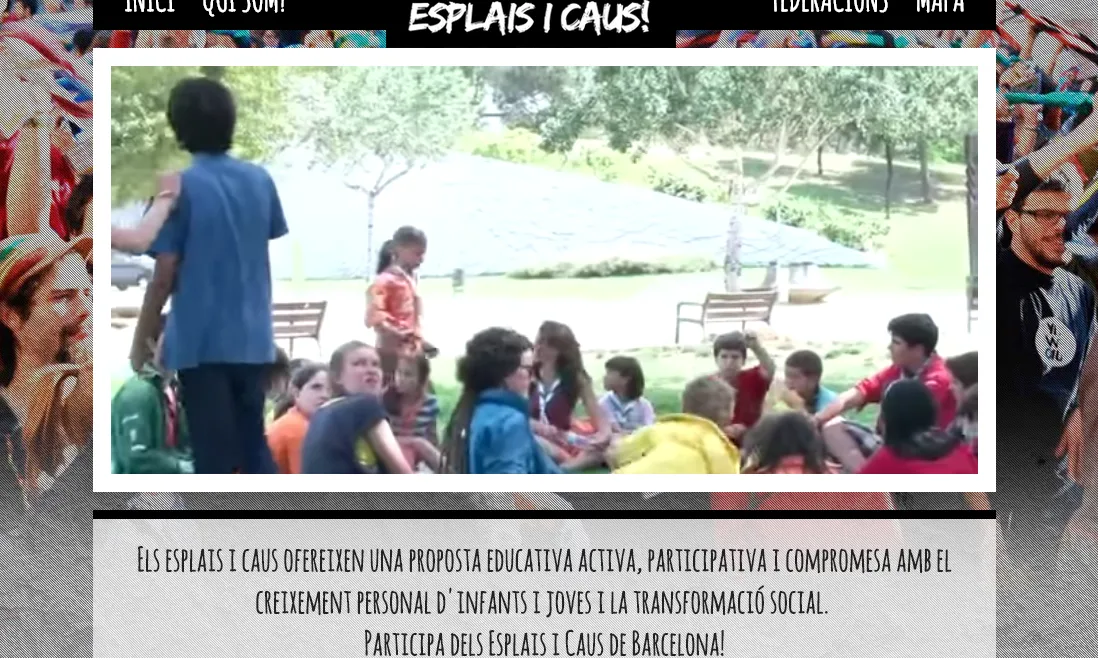 Web de la campanya www.esplaisicaus.cat