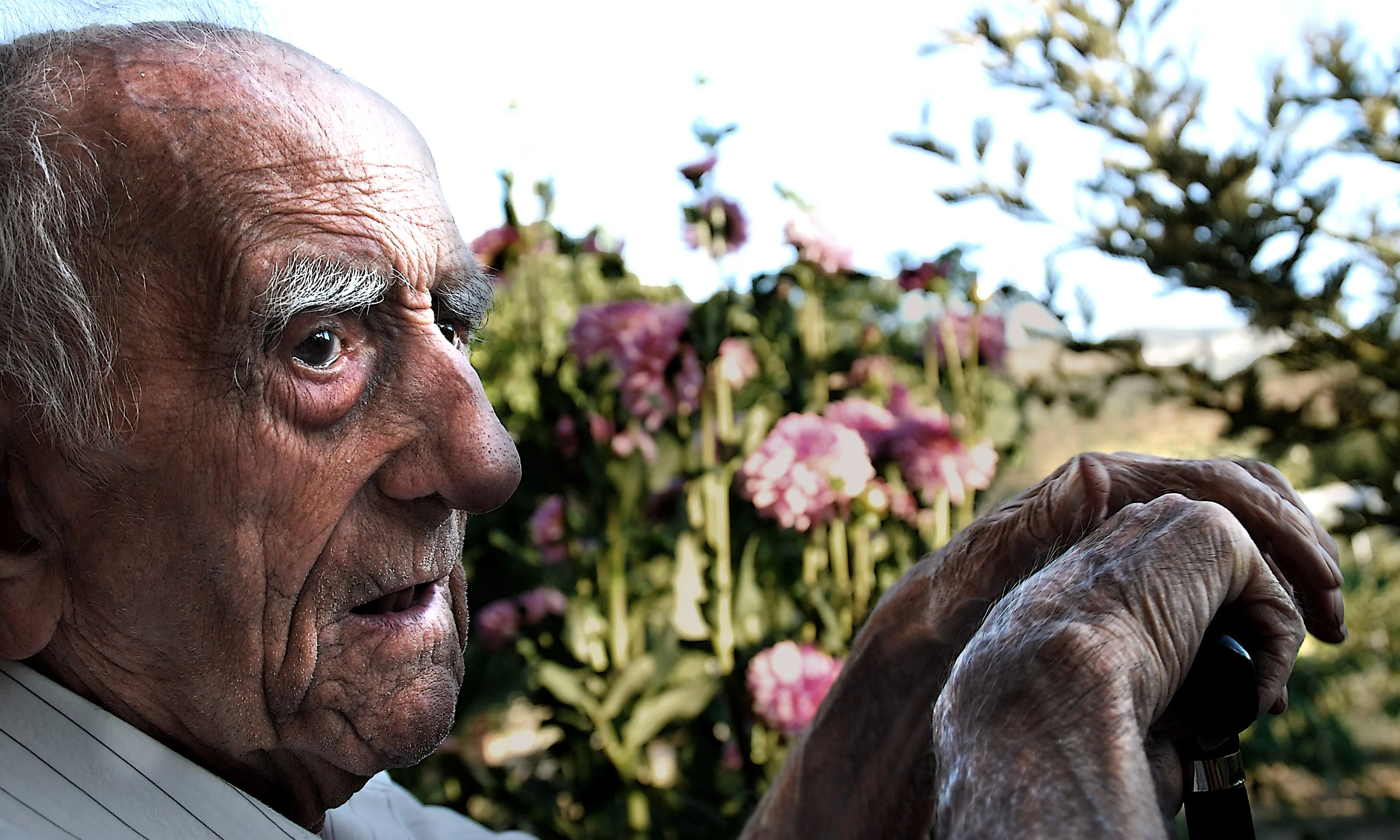 Vellesa_fotodiagramas_Flickr