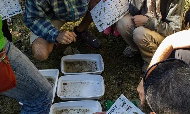 Projecte Rius a Masia Can Rabella (imatge: Associació Hàbitats)