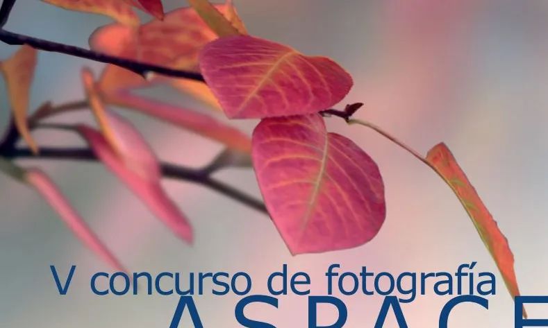 V Concurs de Fotografia ASPACE