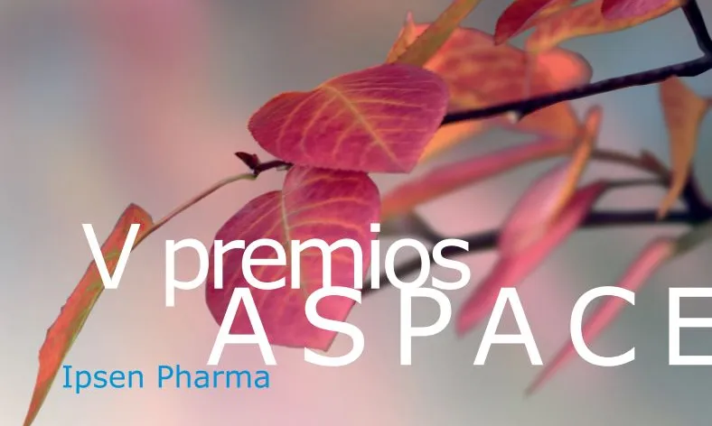 V Premis Ipsen Pharma de paràlisi cerebral V Premis Ipsen Pharma de paràlisi cerebral