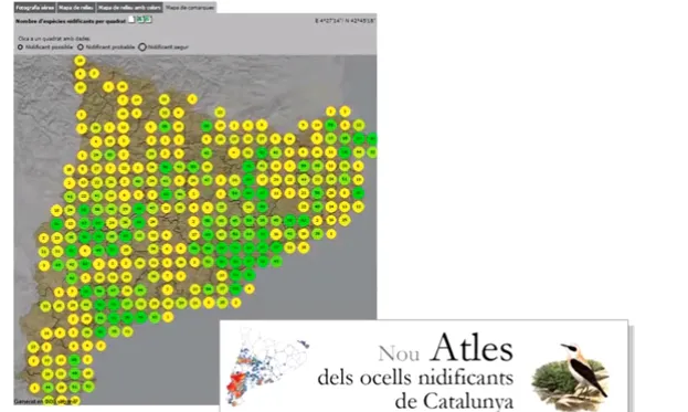 Nodreix l'Atles d'ocells nidificants de Catalunya