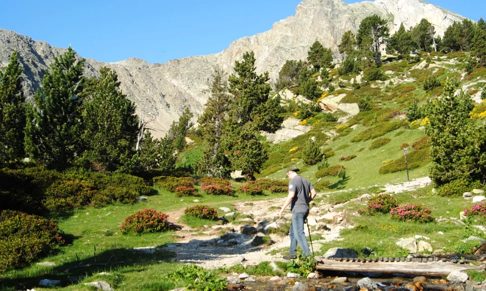 El sector d'alta muntanya pirenenca en el que neixen els rius Ter i Freser (imatge:setcases.cat) 
