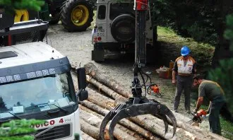 El 2007 les entitats ambientals i els veïns es van mobilitzar contra la tala d'un bosc madur a l'Obaga de Carboners (imatge:amicsdelsarbres)