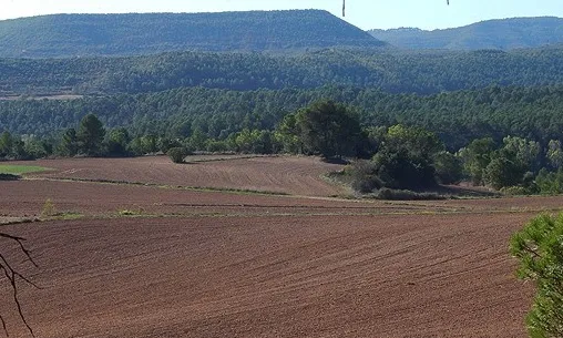 El terreny a Balsareny on es preveu instal·lar el dipòsit geològic de gas.