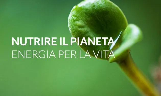 Lema de l'Expo Milà 2015