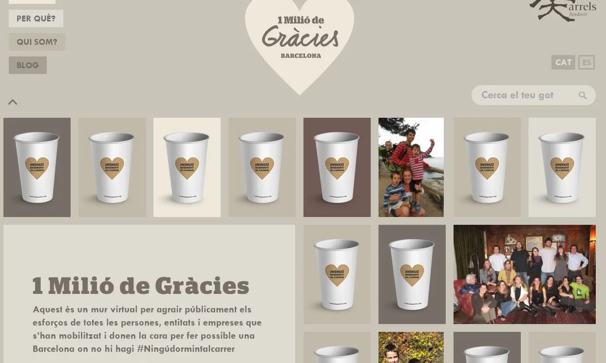 Web de la campanya