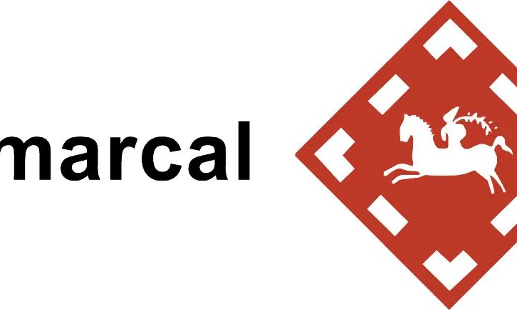 Logotip Consell Comarcal d'Osona