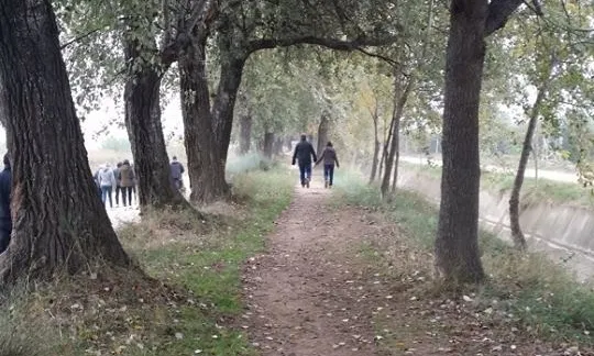 El voluntariat ha salvat els arbres de les Banquetes de Juneda (imatge:labanquetadejuneda.cat)