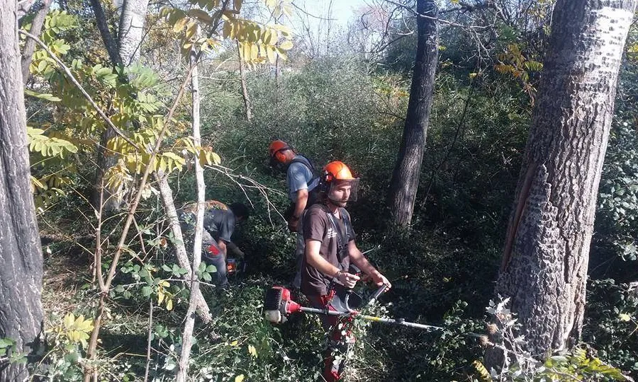 Els voluntaris i les voluntàries realitzen tasques de manteniment a l'espai, declarat Bé Cultural d'Interés Local (imatge:labanquetadejuneda.cat)