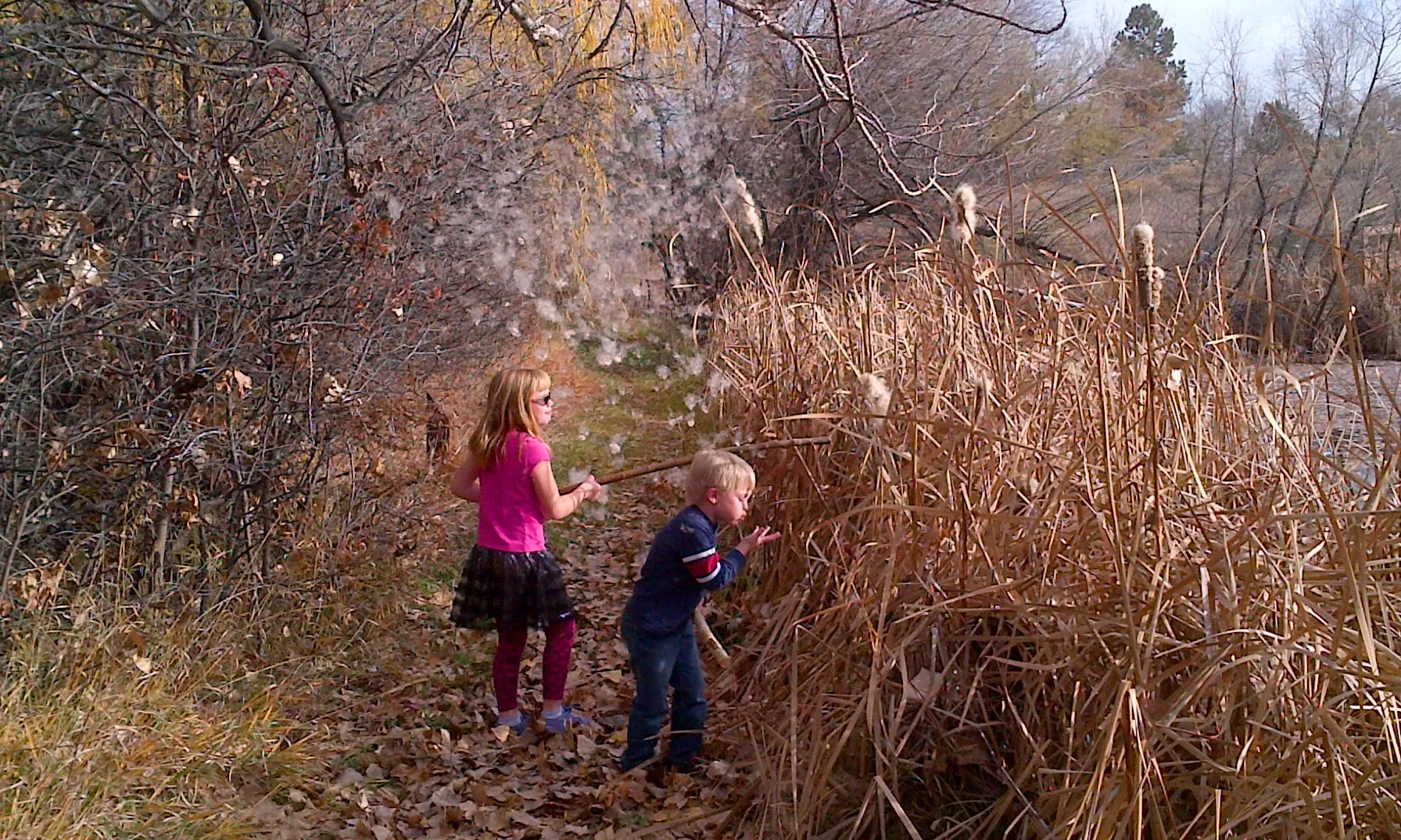 El nens tenen dret a aprendre i a gaudir de la natura (imatge:flickr/usfwsmtnprairie)