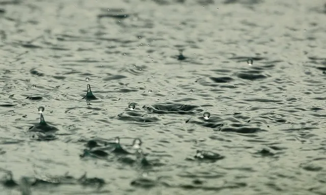Aigua de la pluja. Font: Pixabay