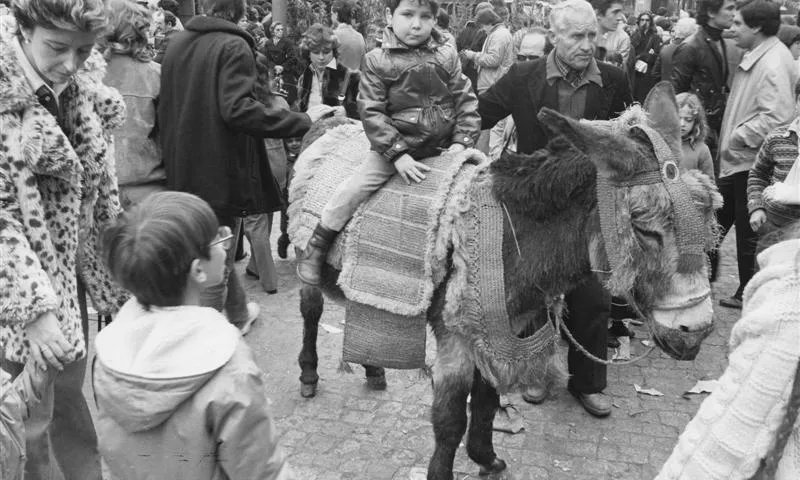 La Fira de Santa Llúcia de Barcelona té 229 anys.