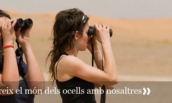 L'Associació ICO organitza nombroses activitats formatives al voltant dels ocells (imatge: ornitologia.org)