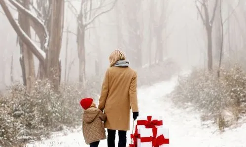 Per viure el periode nadalenc amb equilibri, ideals les passejades pels boscos (imatge:pinterest/KerstTuin)