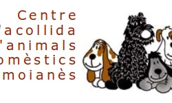 Les mascotes del centre d'acollida d'animals