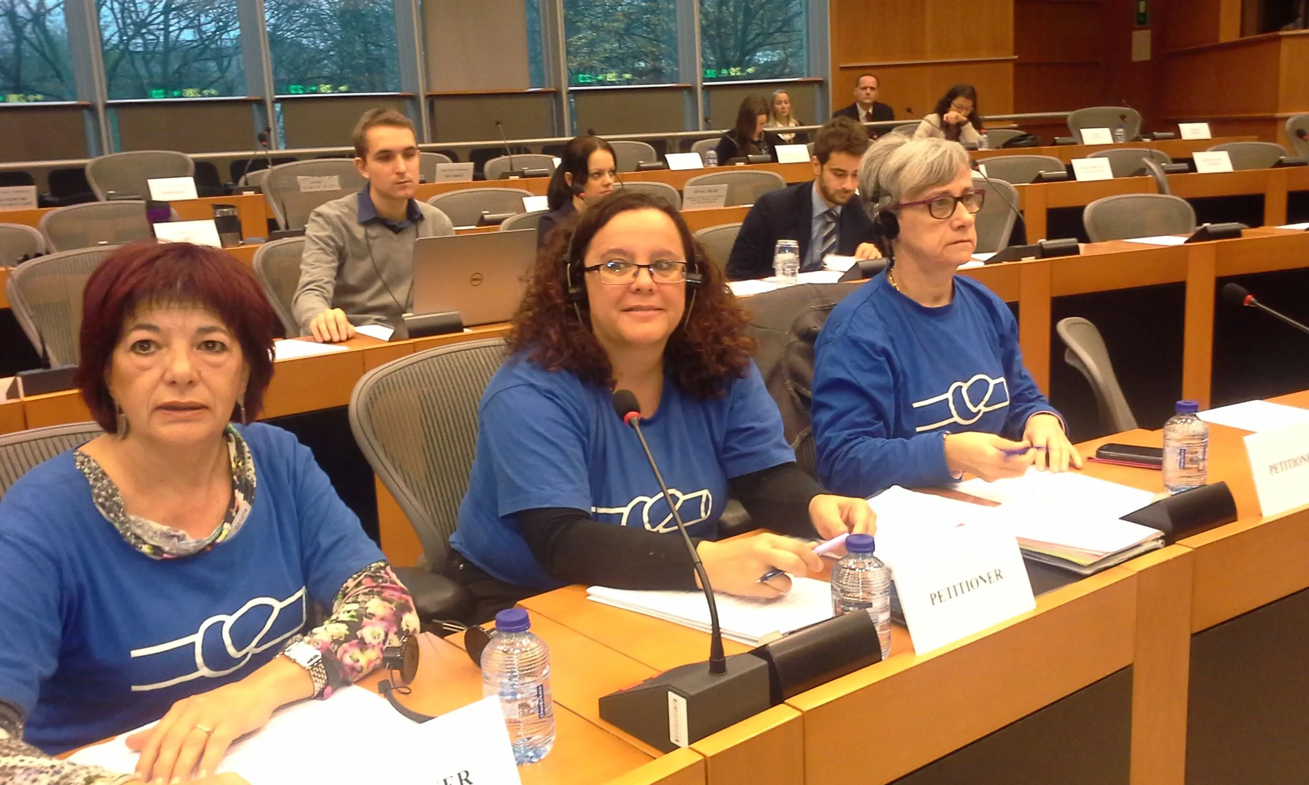 Membres de la Plataforma en Defensa de l'Ebre davant la comissió de peticions del Parlament Europeu (imatge:ebre.cat)