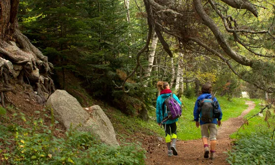 S'hi pot gaudir d'indrets com el Parc Nacional d'Aigüestortes